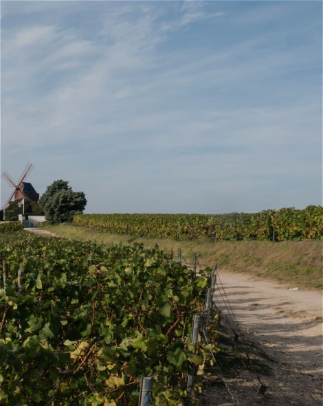 Centre-Val de Loire