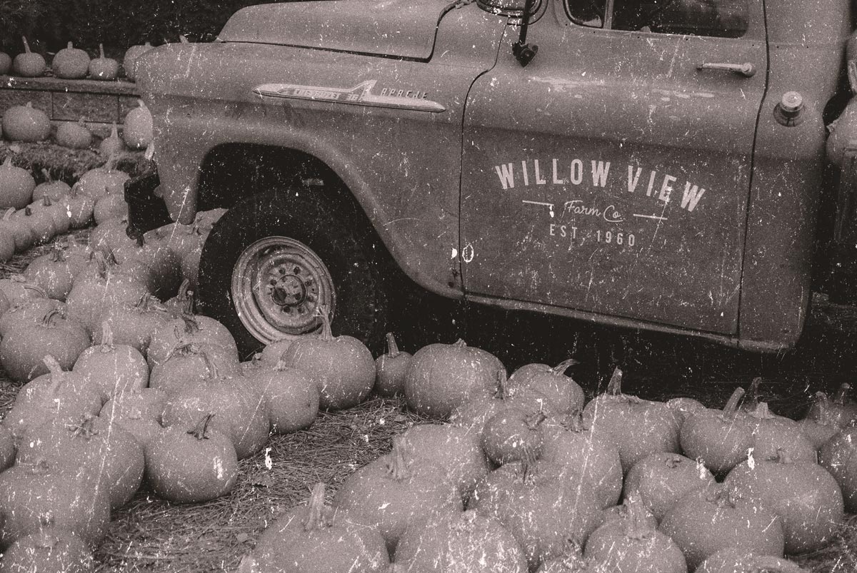Rallye Halloween