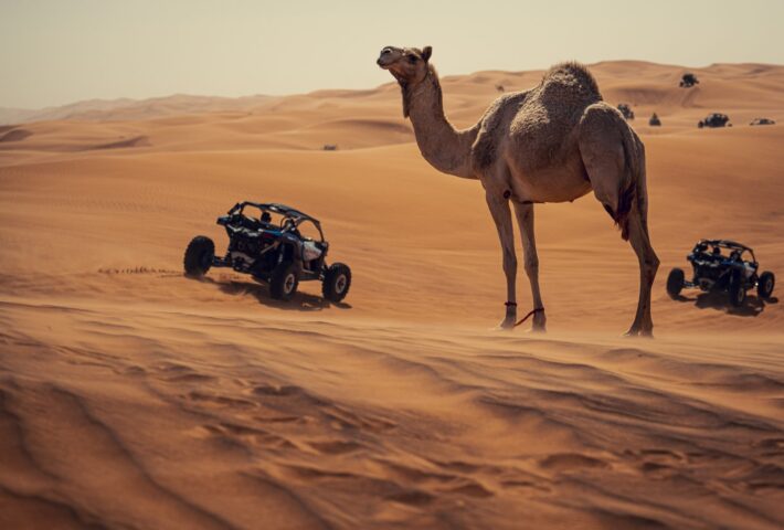 Rallye Dubaï : Un nouvel an inoubliable !