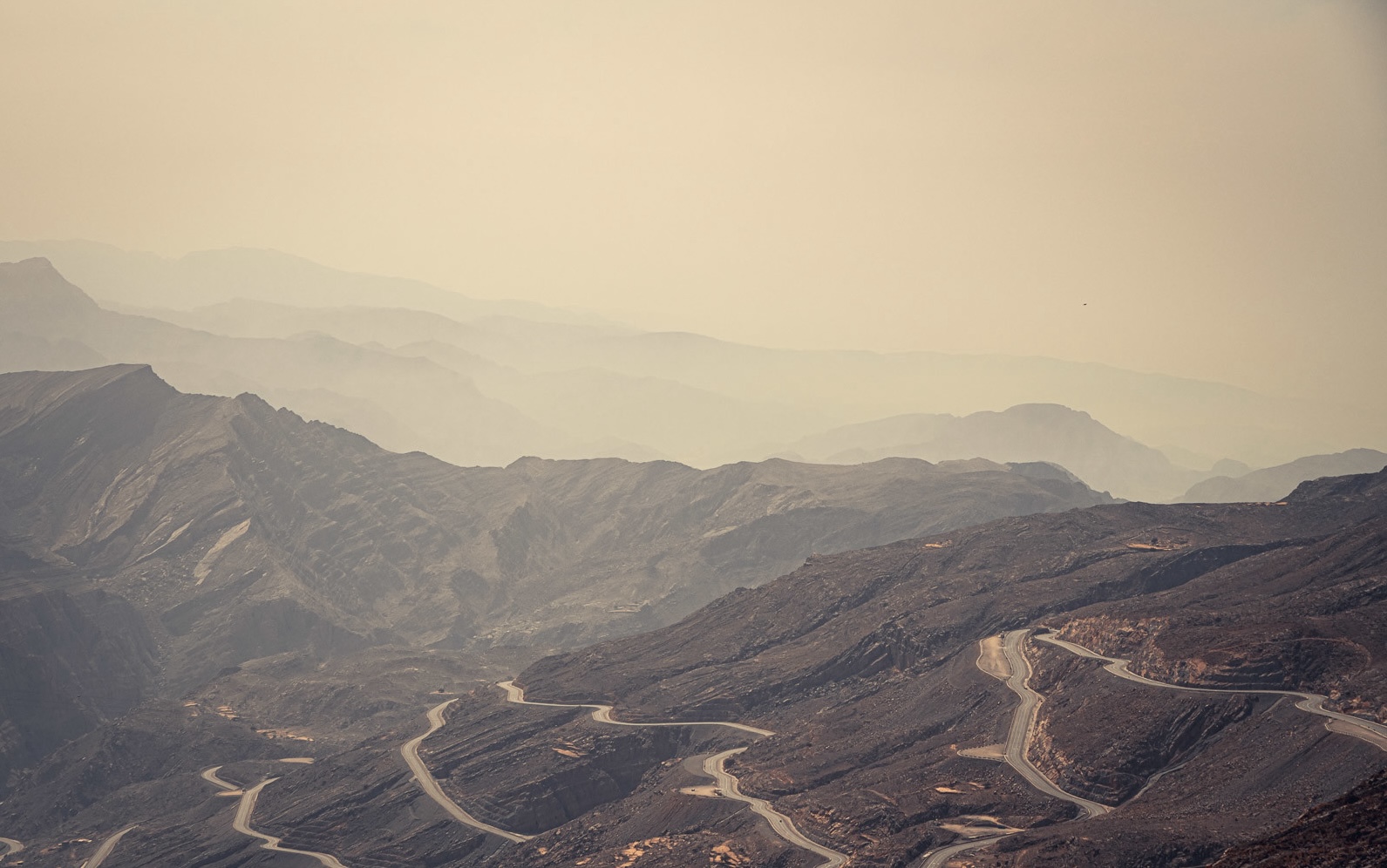 Rallye Dubaï : Un nouvel an inoubliable !